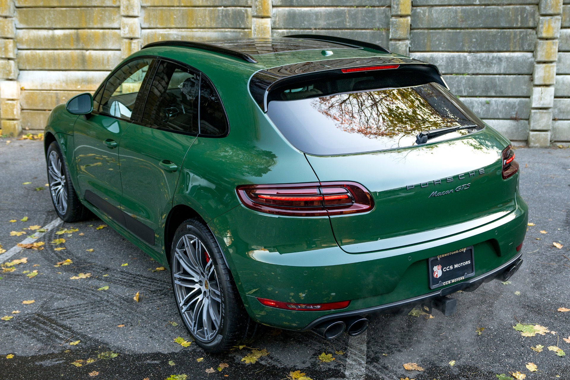 Цвета осень макан. Porsche Macan зеленый. Порше Макан GTS 2016 зеленый. Порше Макан болотного цвета. Viper Green цвет.